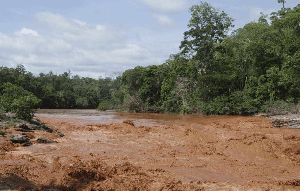 Sistematização do Fundo Regenerativo de Brumadinho: Um Legado para a Filantropia Comunitária e de Justiça Socioambiental no Brasil