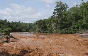 Sistematização do Fundo Regenerativo de Brumadinho: Um Legado para a Filantropia Comunitária e de Justiça Socioambiental no Brasil