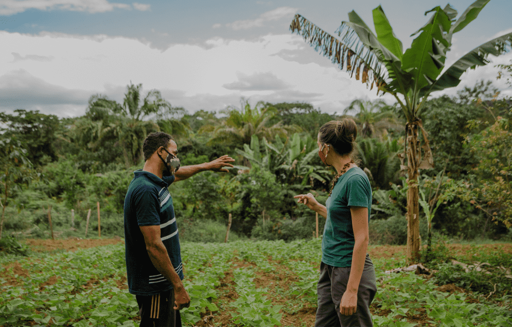Cultivar resiliência em tempos de crise climática: saberes e lições que vêm do campo