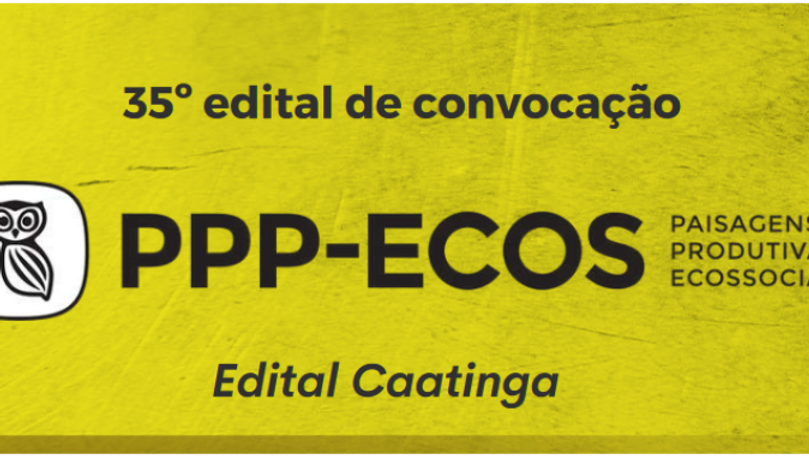 35º Edital PPP - ECOS com foco em Caatinga, do ISPN