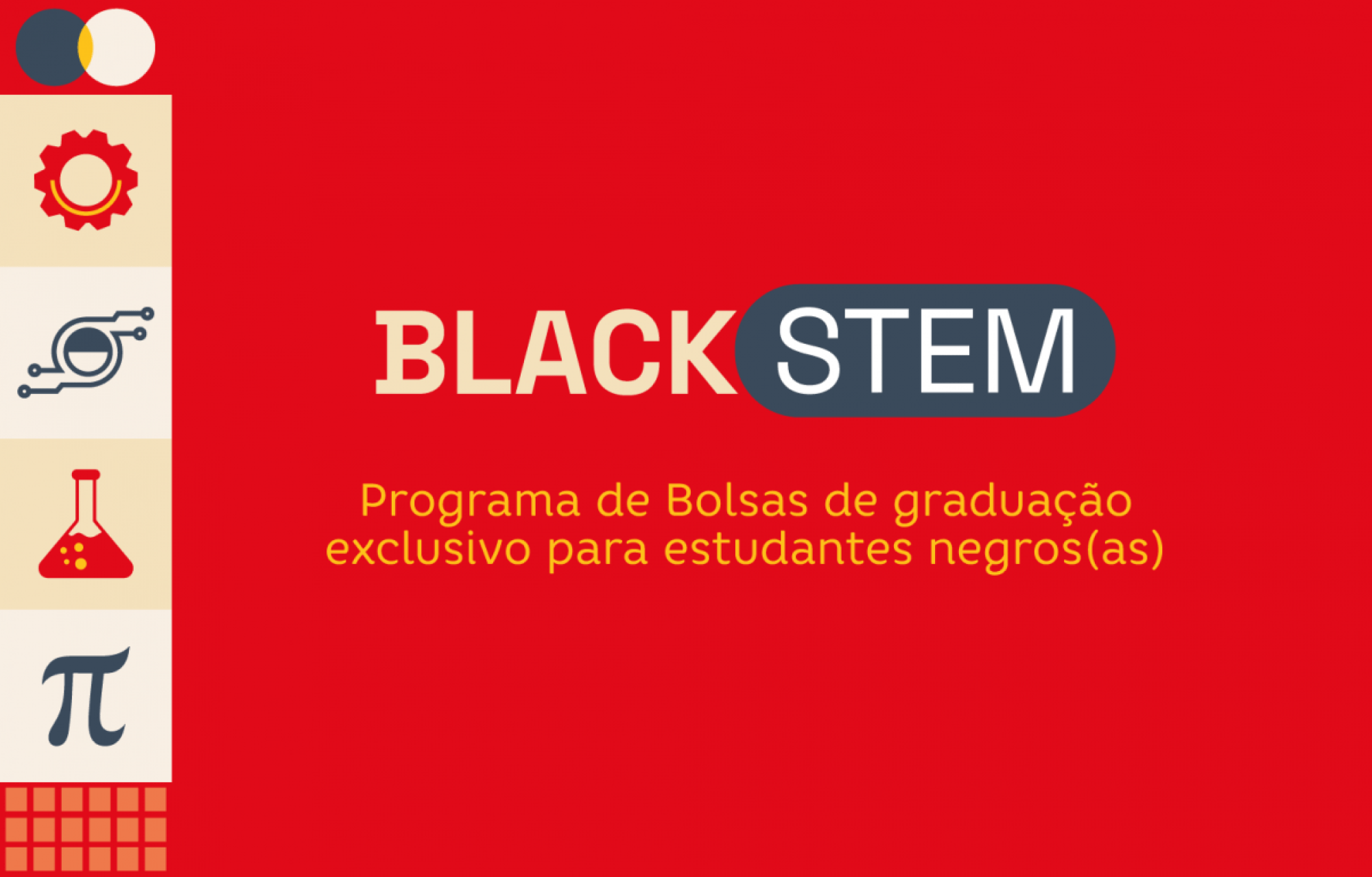Programa de Bolsas de Graduação Black STEM