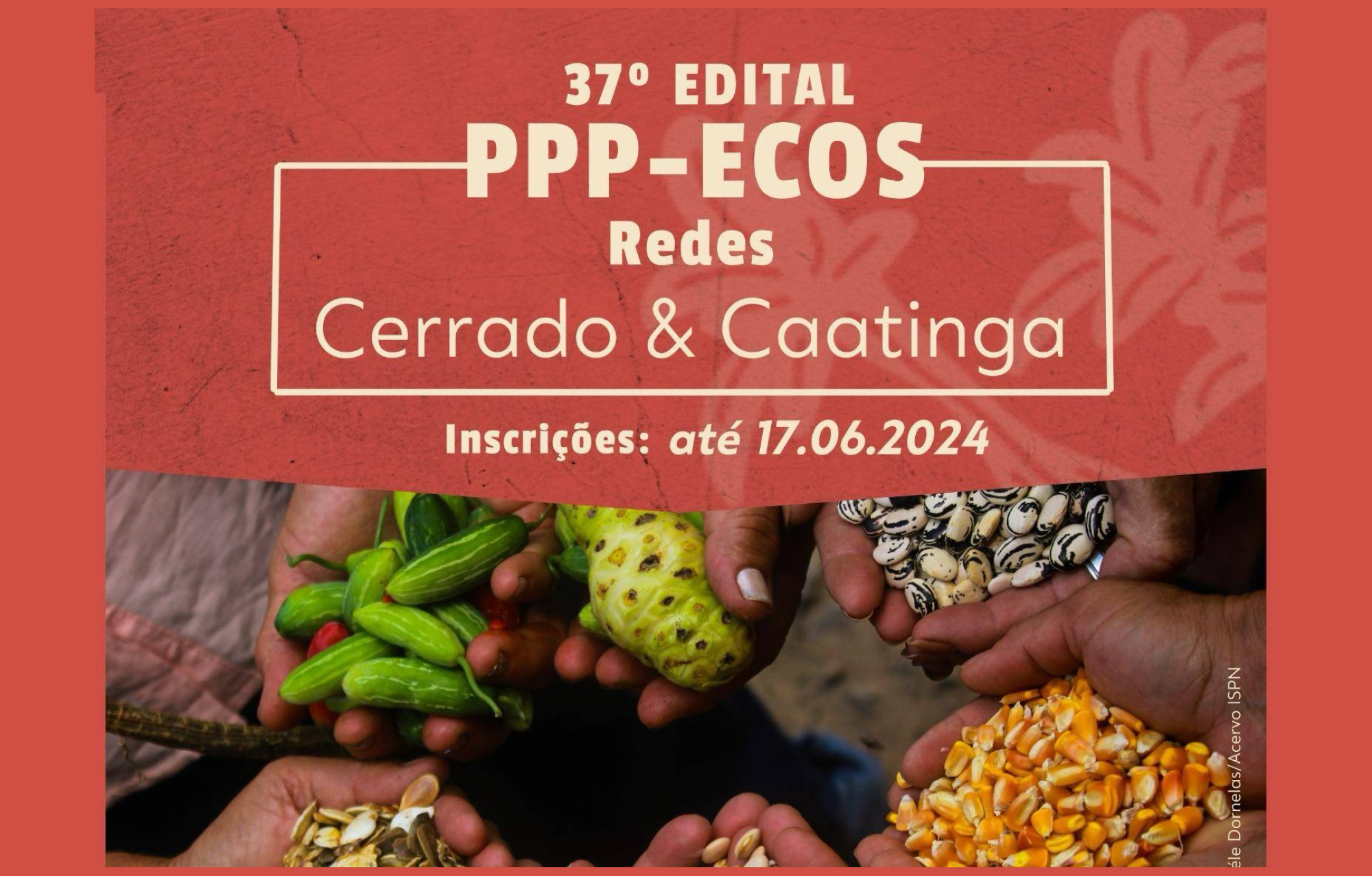 CAPA_BLOG-edital-cerrado-caatinga