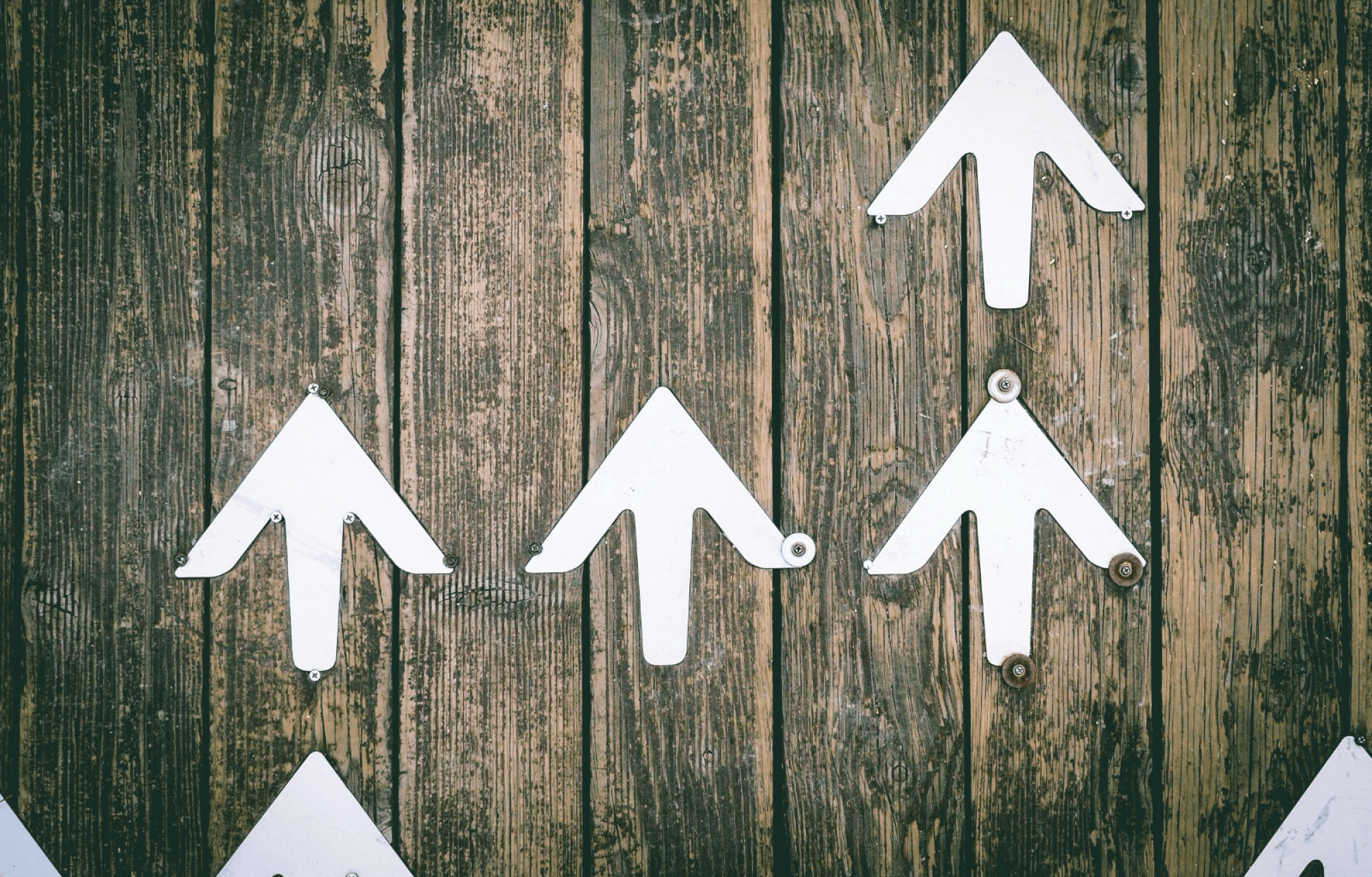A base precisa ser prioridade: Alguns dados sobre a dificuldade dos movimentos sociais e de base comunitária na busca, informação e acesso à recursos